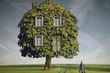 L'arbre maison surréaliste photo de l'artiste Darius Zklimczak