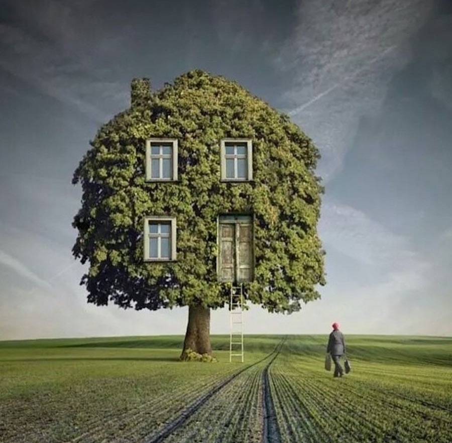 L'arbre maison surréaliste photo de l'artiste Darius Zklimczak