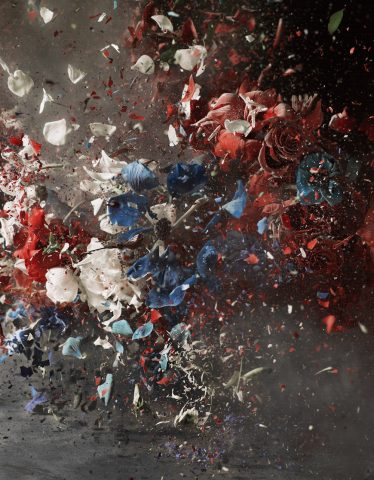 Photographe et vidéaste, Ori Gersht qui a réalisé cette série " Blow Up"  un bouquet en explosion.